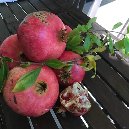 Corte Dei Salentini فندق مبيت وإفطار