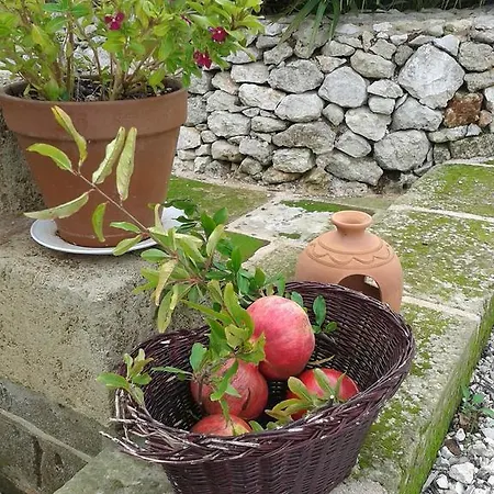 Corte Dei Salentini كاربينيانو سالينتينو