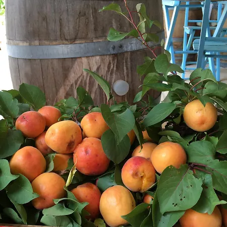Corte Dei Salentini فندق مبيت وإفطار كاربينيانو سالينتينو