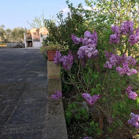 فندق مبيت وإفطار Corte Dei Salentini كاربينيانو سالينتينو