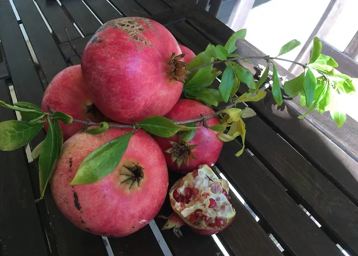 Corte Dei Salentini Panzió
