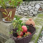 Corte Dei Salentini Carpignano Salentino