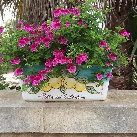 Corte Dei Salentini Bed & Breakfast Carpignano Salentino