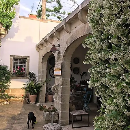 B&B Corte Dei Salentini