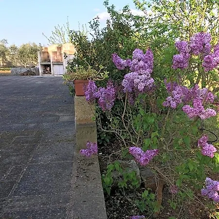 Corte Dei Salentini