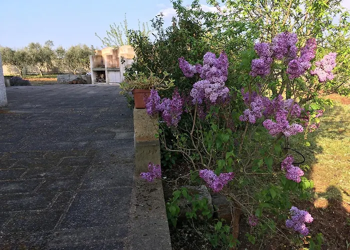 住宿加早餐酒店 Corte Dei Salentini 卡尔皮尼亚诺萨伦蒂诺